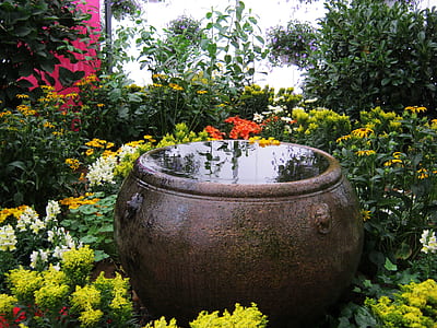 black drum near flowers thumbnail
