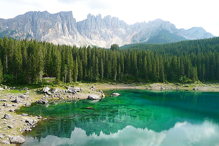 body of water near trees during day thumbnail