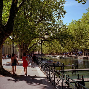 two women walking near on tree thumbnail