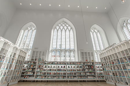 books in white wooden bookshelves thumbnail
