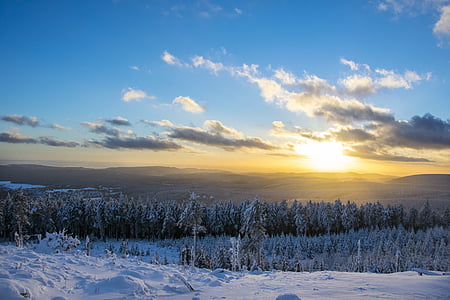 snow-covered forest during daytime thumbnail