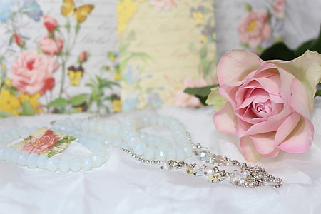 silver-colored necklace and pink rose thumbnail