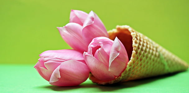 pink flowers on cone thumbnail