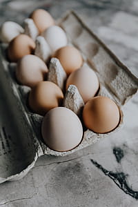 Fresh Eggs thumbnail