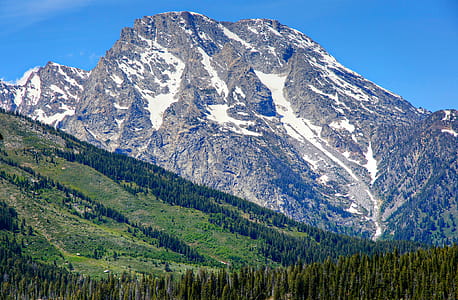 A green forested slope serves as foreground to a glacier covered mountain peak at Grand Teton National Park. thumbnail