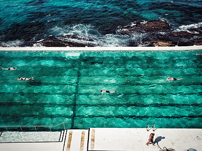 group of people swimming in pool thumbnail