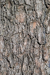 brown surface thumbnail
