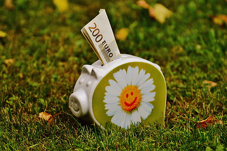 white and green ceramic piggy bank thumbnail