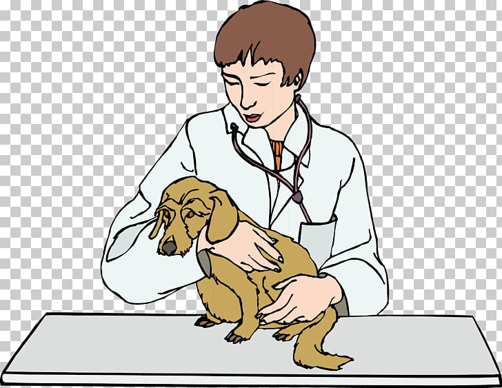 Ветеринар картинки детские