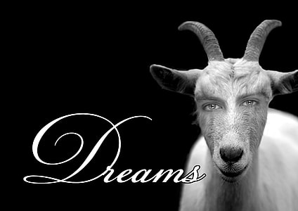 grayscale photography of goat with dreams text overlay thumbnail