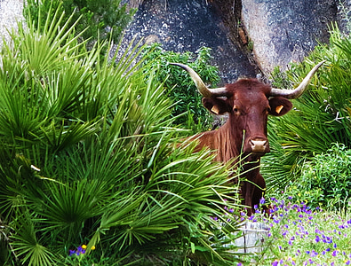 brown 4-legged animal on bush thumbnail