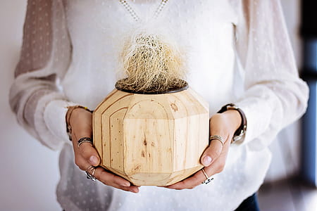 person holding potted plant thumbnail