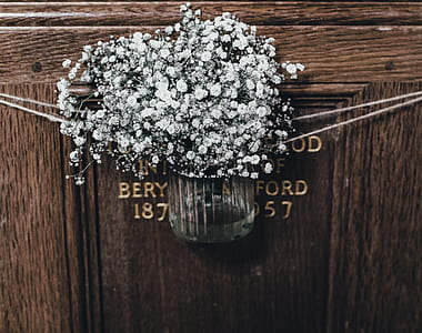 white petaled flowers in round clear glass container thumbnail
