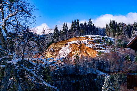 rock formation near trees thumbnail