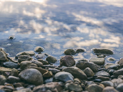 selective focus photography of stone in seashore thumbnail