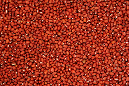 brown beans thumbnail