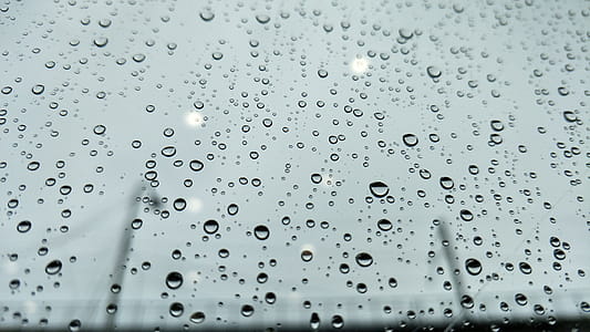 Closeup Photo of Dew Drops on Glass thumbnail
