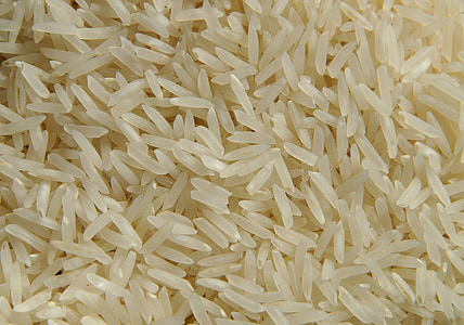 rice grains thumbnail