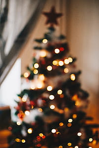 Green Christmas Tree With String Lights thumbnail
