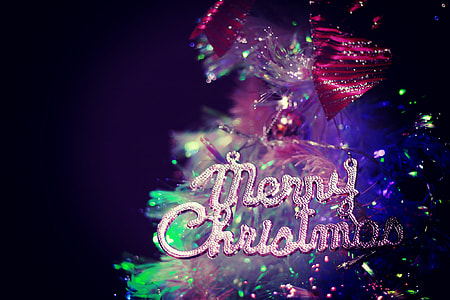 photography of Merry Christmas decor thumbnail