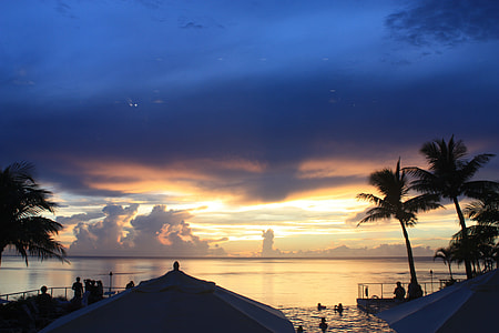 photo of ocean near coconut trees at golden hours thumbnail