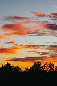 Sunset over the forest thumbnail