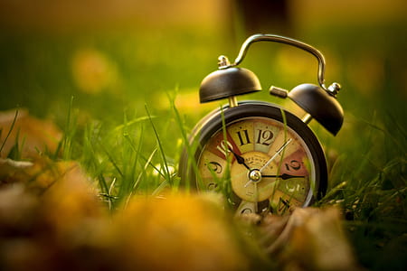 bell alarm clock placed on green grass thumbnail