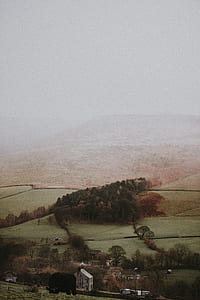 landscape photography on trees and mountains thumbnail