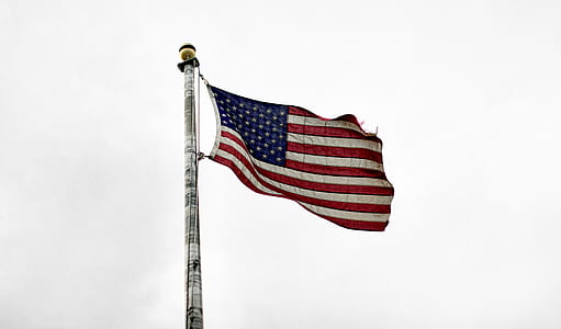 Flag of United States of America thumbnail