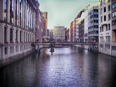 bridge between buildings under blue sky thumbnail