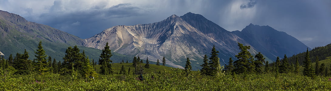 green trees over mountains thumbnail