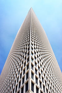 low angle photo of high rise buillding thumbnail