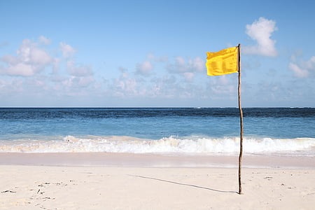 yellow flag in seashore photography thumbnail