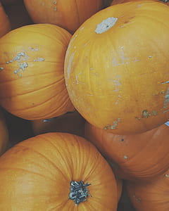 stack of pumpkin thumbnail