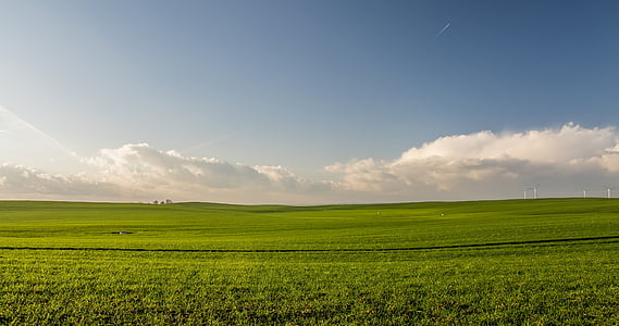 green grass field during daytie thumbnail