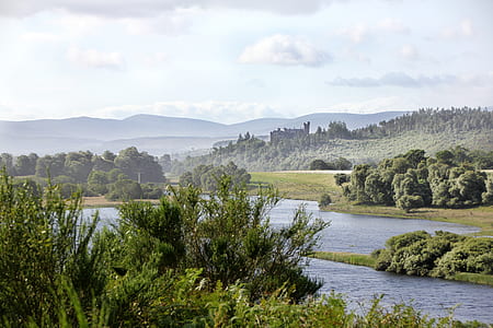 river surrounded by tree thumbnail