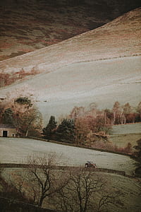 farm field painting thumbnail