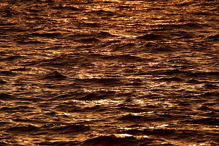 brown tree surface thumbnail