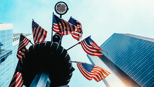 seven American flags on black holder thumbnail