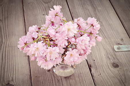 pink tree blossom flowers in clear glass vase on brown wooden surface thumbnail