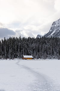 snow-covered house near trees during daytime thumbnail