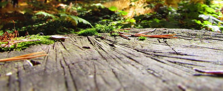 Brown Wooden Surface thumbnail