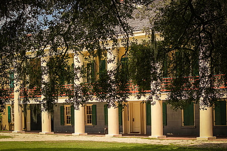 green leafed trees in front of building thumbnail