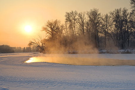 snow cap ground near body of water with withered trees on background during daytime thumbnail