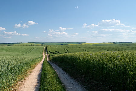 pathway between grassy fields thumbnail