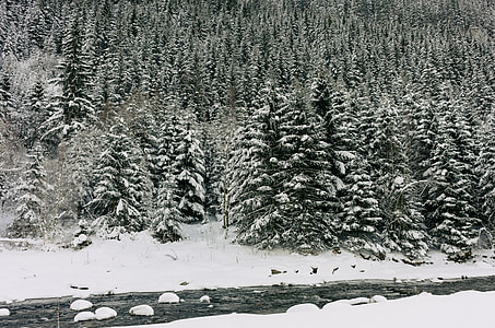 Winter river thumbnail