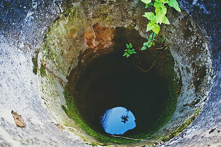 deep well with green vines thumbnail