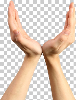 Hand Hands Hand Free Two Hands Photo Png Clipart Free Cliparts Uihere
