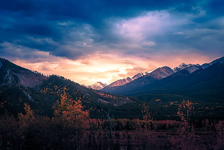 orange trees near mountain at daytime thumbnail