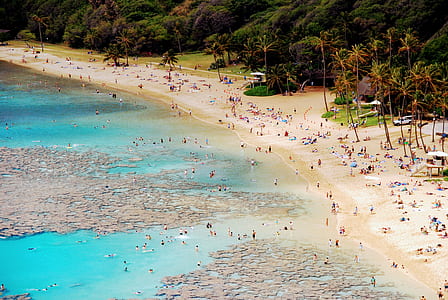 people on shore during daytime thumbnail